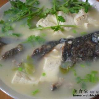 黑头鱼炖豆腐