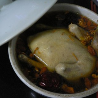 炖鸽子