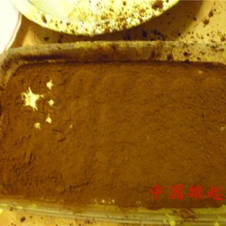 意大利提拉米苏