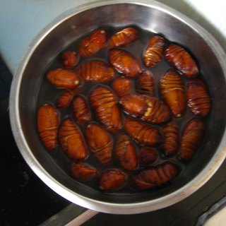 家常 蚕蛹
