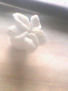 `花样水饺的包法