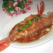 清蒸红鲷鱼