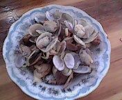 炒花蛤