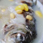 白果黄豆鲫鱼汤