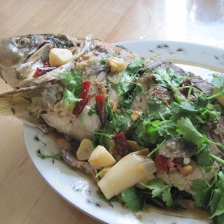 炖黄河大鲤鱼