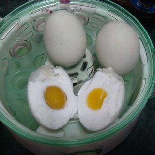 自制咸鸭蛋