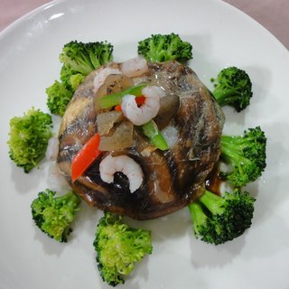 蝉衣海鲜烩真菌