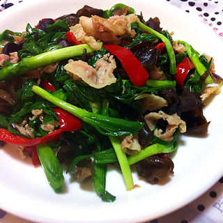 韭菜木耳猪肉片小炒