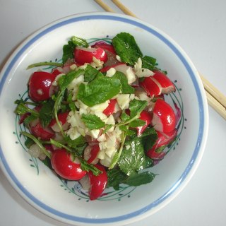 芥香脆口樱桃萝卜