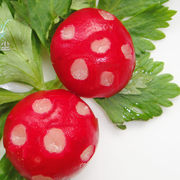 樱桃萝卜小蘑菇