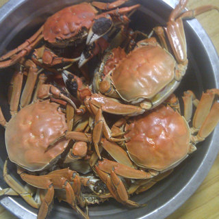 蘸汁清蒸蟹