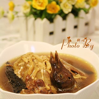 灵芝花胶煲斑鸠