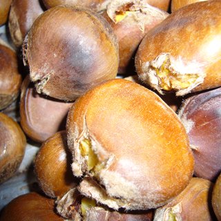 高压锅版炒栗子