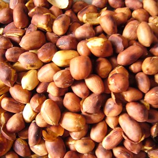 高压锅版炒花生