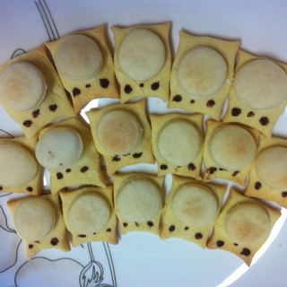 迷你龙猫小饼干