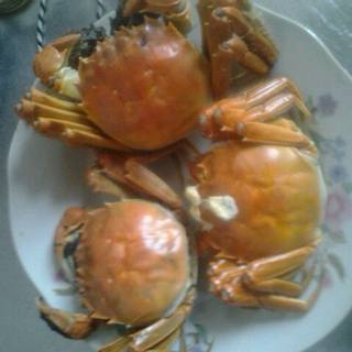 清蒸螃蟹